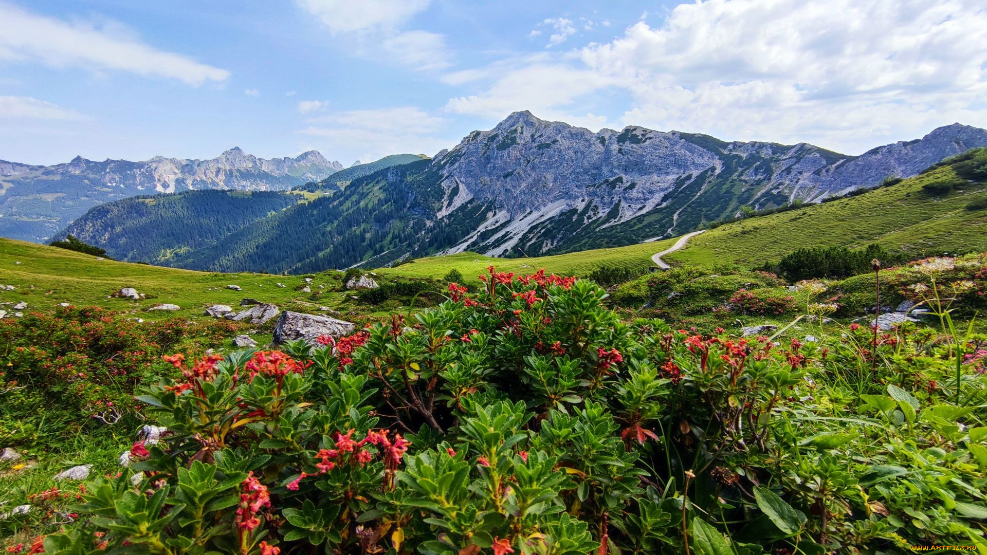 tannheimer valley,  tirol,  austria, , , tannheimer, valley, tirol, austria